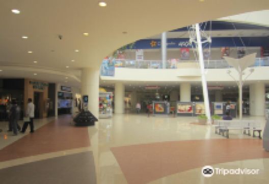 Galerias Cuernavaca购物图片