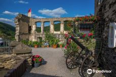 Metternich Castle-拜尔施泰因