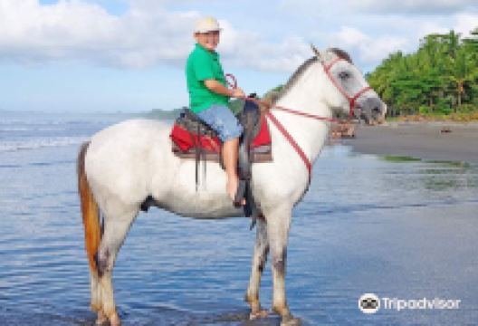 The Riding Adventure景点图片