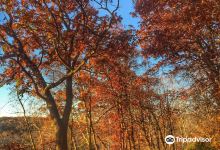 Hoffman Hills State Recreation Area景点图片