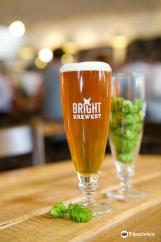 Bright Brewery-布莱特
