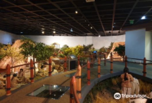 高敞支石墓博物馆景点图片