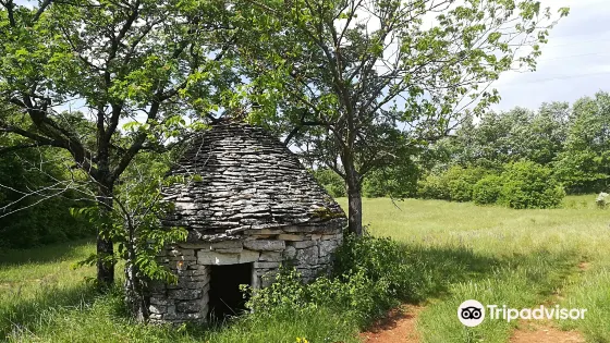 Kažun