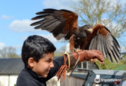 Umberslade Farm Park景点图片