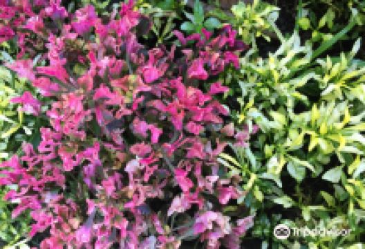 Nurture Farmacy景点图片