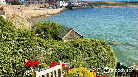 Elie Beach