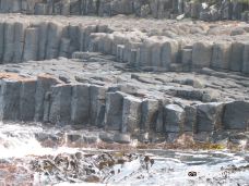 Basalt Columns-查塔姆群岛