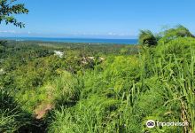 Real Bike Shop购物图片