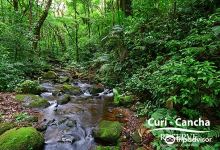 Curi-Cancha Reserve景点图片