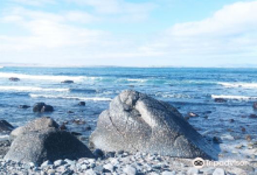 Orbicular Granite Nature Sanctuary景点图片