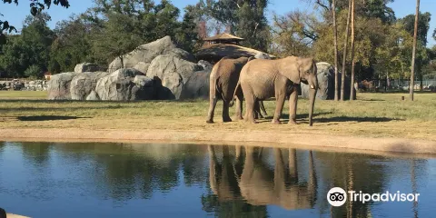 弗雷斯諾查菲動物公園