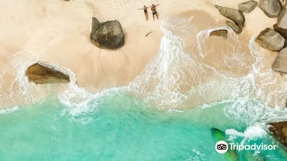 Turtle Sanctuary Beach