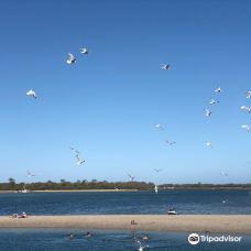 拉布拉多塘鹅湾-Labrador