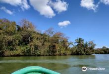 Monkey Island景点图片