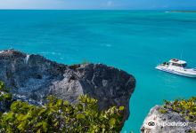 Flamingo Divers购物图片