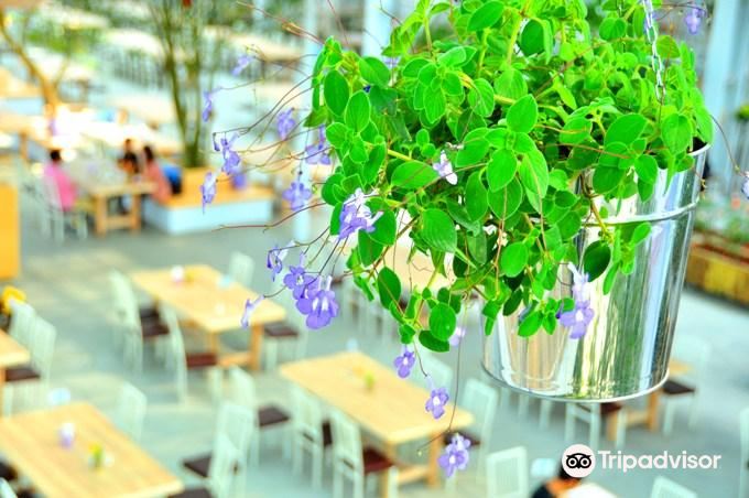 香草菲菲 芳香植物博物馆