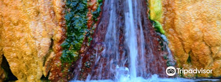 594774202