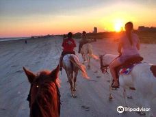 Galveston Island Horse and Pony Rides-加尔维斯顿县