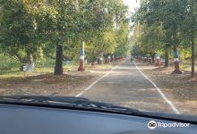 Regional Fruit Research Centre购物图片
