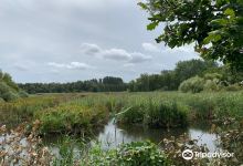 Molsbroek景点图片