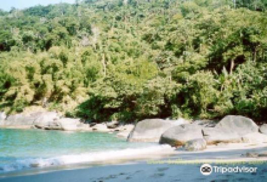 Guanxuma Beach景点图片