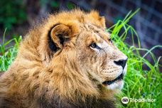 Selwo Aventura-埃斯特波纳