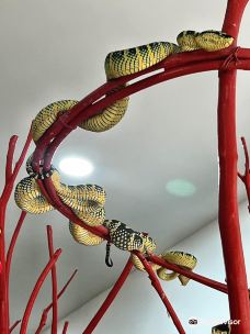 蛇庙-巴彦勒巴