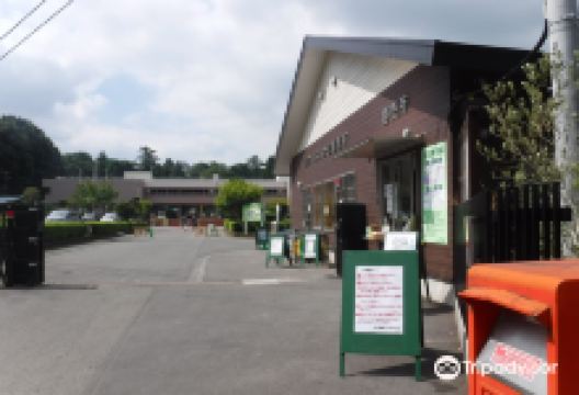 Sakura Kusabue no Oka景点图片