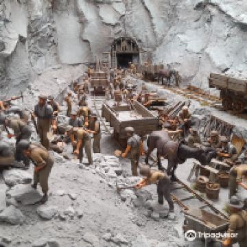 哈韦拉图片