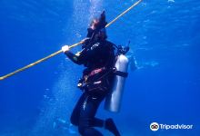 Scuba Outfitters of Naples, LLC购物图片