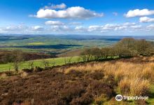 Stiperstones Nature Reserve景点图片