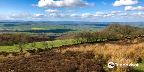 Stiperstones Nature Reserve