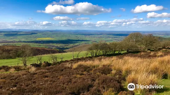Stiperstones Nature Reserve