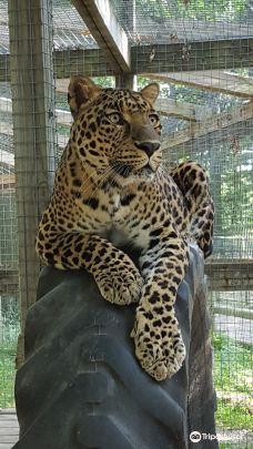 Zoo in Forest Park and Education Center-斯普林菲尔德