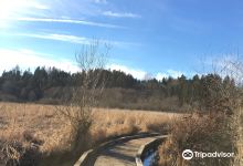 North Creek Park景点图片