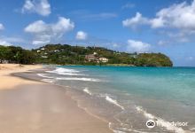 Vigie Beach景点图片