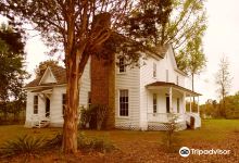 Historic Wynne-Russell House景点图片