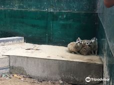 金阳湖动物园-晋州