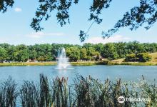 Laurel Acres Park景点图片