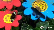 Casa delle Farfalle-米兰马瑞提那