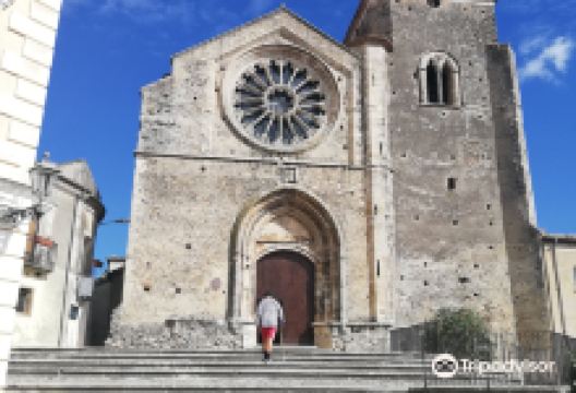 Museo Civico景点图片