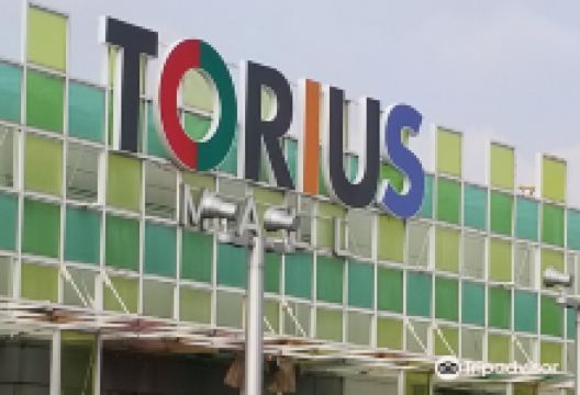 Torius购物图片