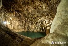 Cenote SAC-AUA景点图片