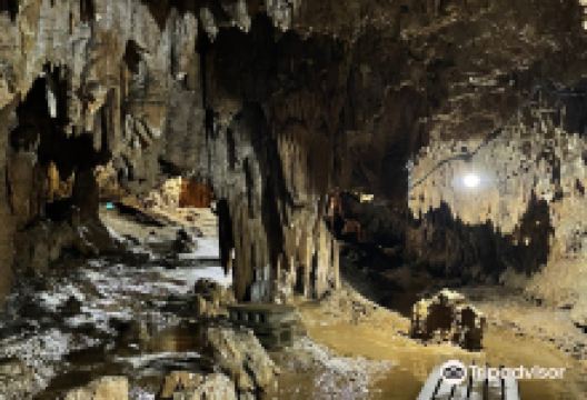 Akasaki Limestone Cavern景点图片