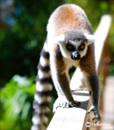 Alameda Wildlife Park-直布罗陀