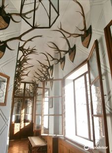 Zamek Orlik-皮塞克