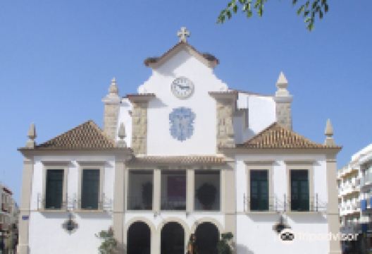 Igreja Matriz de Nossa Senhora do Rosário景点图片