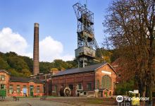 Landek Park Mining Museum景点图片