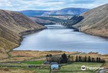Duns Castle Nature Reserve景点图片