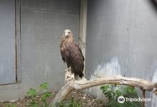 Zoo Aquaterrarium景点图片